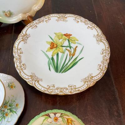 DR1423 Assorted Daffodil China