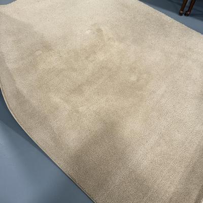 5 x 7 tan rug