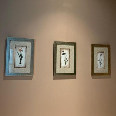 NY botanical garden 3 prints
