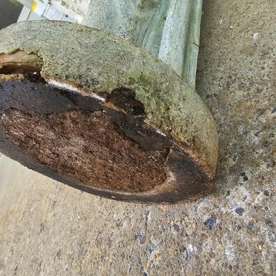 St. Francis Concrete Statue (G-JS)