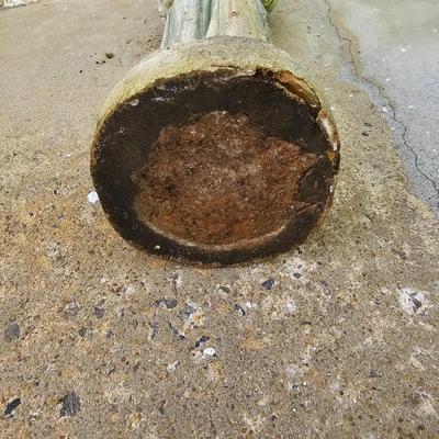 St. Francis Concrete Statue (G-JS)