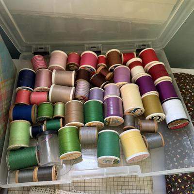 Sewing Box and Knitting Needles (LR-BM)