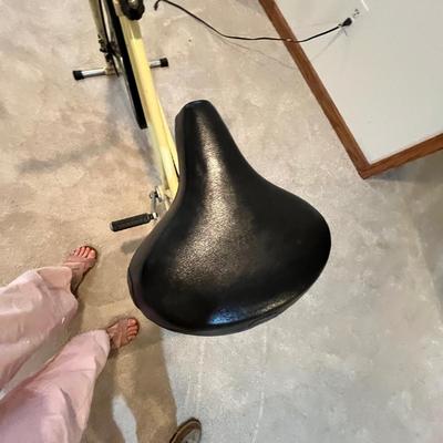 Lot 81 Vintage Sears Excercycle