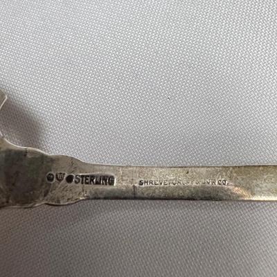 Sterling Silver Spoons and Serving Utensils (ST-DZ)