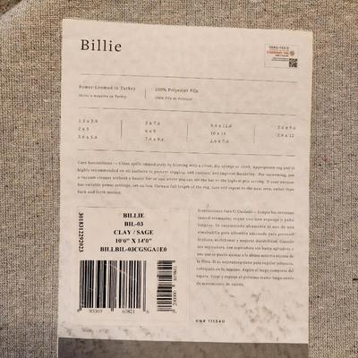 Billie Area Rug Clay/Sage 10' x 14'