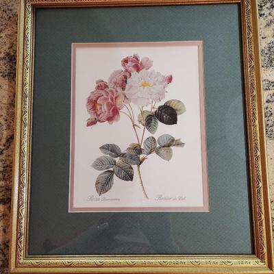 Framed Floral Print