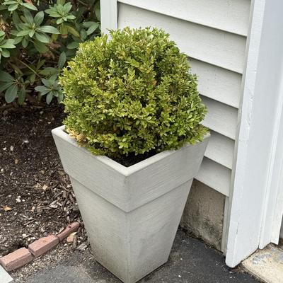 Two matching resin planters with plants