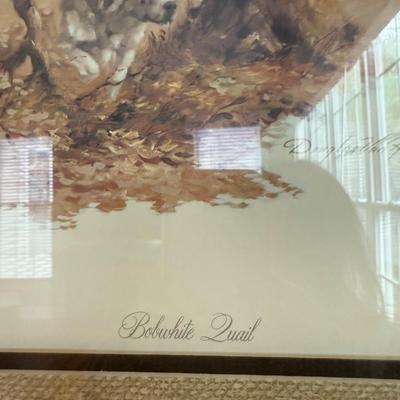 Bobwhite Quail art