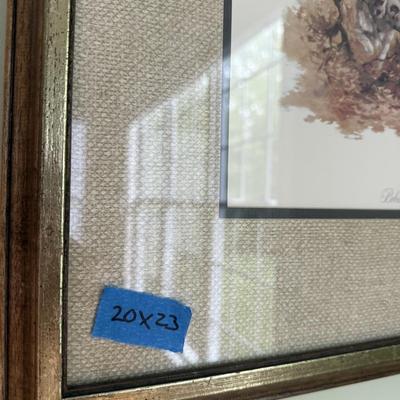 Bobwhite Quail art