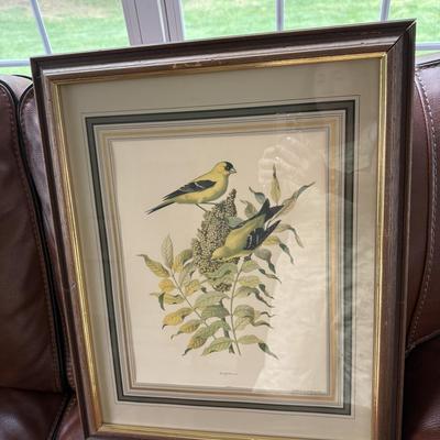 Pair of beautiful bird artwork