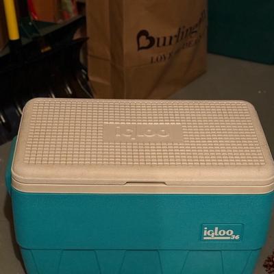 Fun blue Igloo cooler