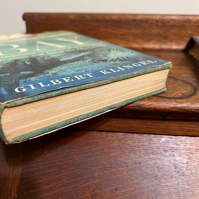 Chesapeake Vintage Book Lot