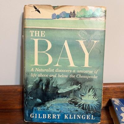 Chesapeake Vintage Book Lot