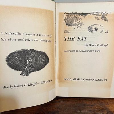 Chesapeake Vintage Book Lot