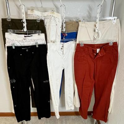 Lot 245 Women's slacks