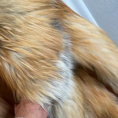 Lot 255 Bill Blass Fox? Jacket