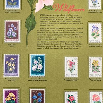 Wildflowers Stamp Set