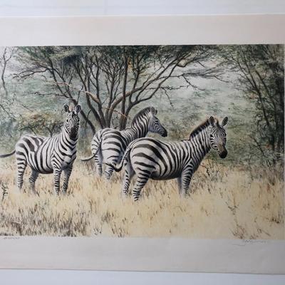 A Dazzle of Zebras Print