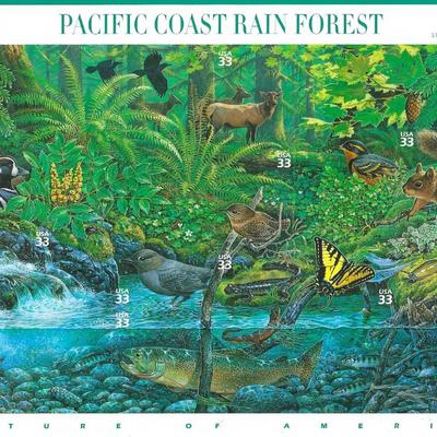 Pacific Coast Rain Forest Stamp Sheet