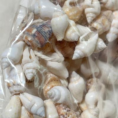 Lot 352 ssorted Jewelry Lot #4