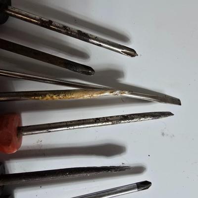 Assorted Screwdrivers – Mixed Flathead and Phillips