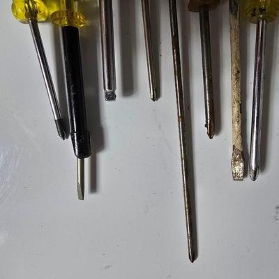 Mixed Screwdrivers – Clear Handles Flathead and Phillips