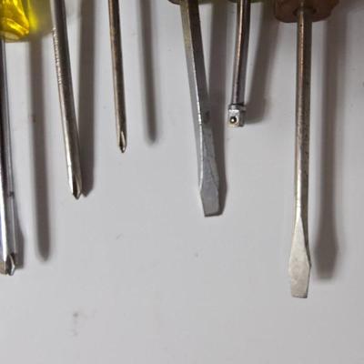 Mixed Screwdrivers – Clear Handles Flathead and Phillips
