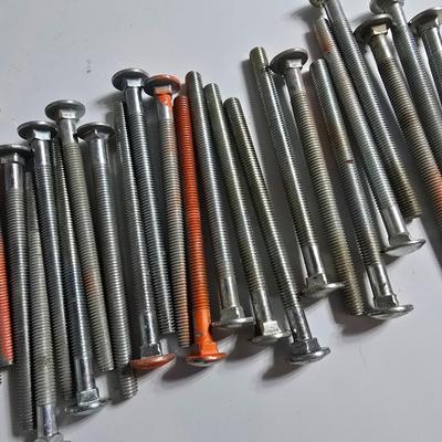 24 Heavy-Duty Carriage Bolts – 24 in each lot