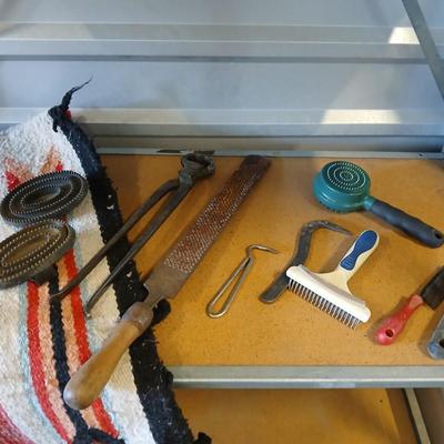 Equine & Livestock Grooming & Hoof Tool Lot – Combs, Files, Curry Brushes