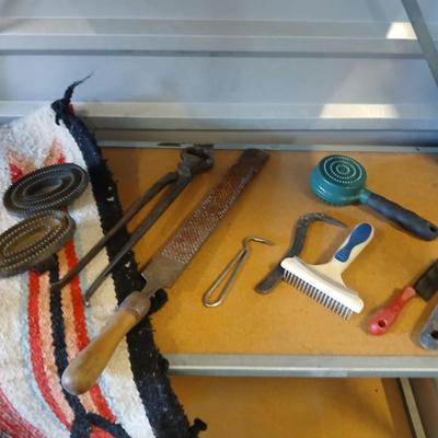 Equine & Livestock Grooming & Hoof Tool Lot – Combs, Files, Curry Brushes