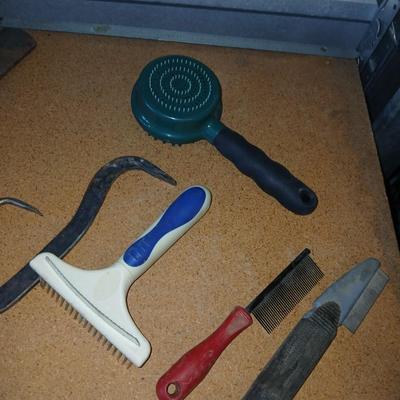 Equine & Livestock Grooming & Hoof Tool Lot – Combs, Files, Curry Brushes