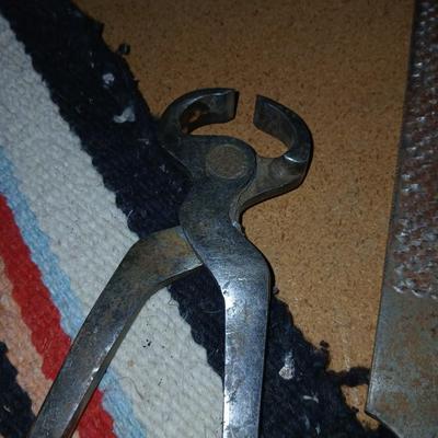 Equine & Livestock Grooming & Hoof Tool Lot – Combs, Files, Curry Brushes