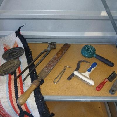 Equine & Livestock Grooming & Hoof Tool Lot – Combs, Files, Curry Brushes