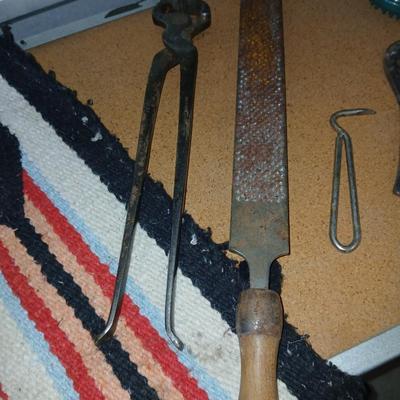 Equine & Livestock Grooming & Hoof Tool Lot – Combs, Files, Curry Brushes
