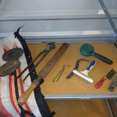 Equine & Livestock Grooming & Hoof Tool Lot – Combs, Files, Curry Brushes