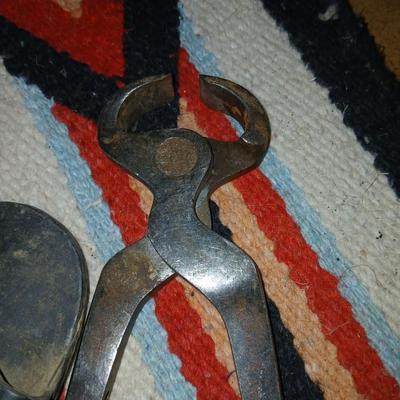 Equine & Livestock Grooming & Hoof Tool Lot – Combs, Files, Curry Brushes