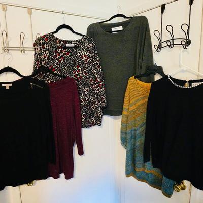 Clothing Lot Shirt Xl and 2XL (2)