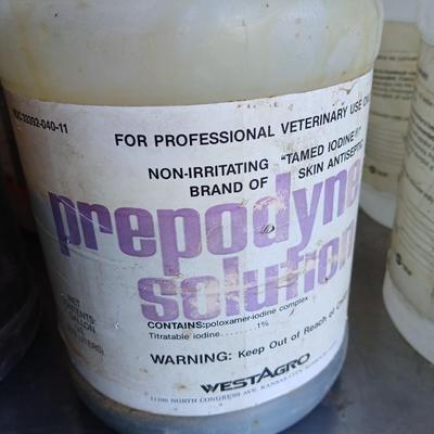 Bulk Livestock & Equine Liquid Supply Lot – Gallon Jugs of Topicals, Oils & Solutions