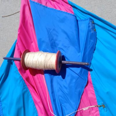 Nice Catch the Wind Nylon Sport Kite with Spool & Storage Sleeve
