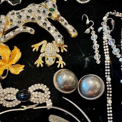 Jewelry - cats, jaguar, frog, leaf