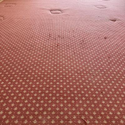 Large Checkered 14’ x 10’5” Rug (PBN-BM)