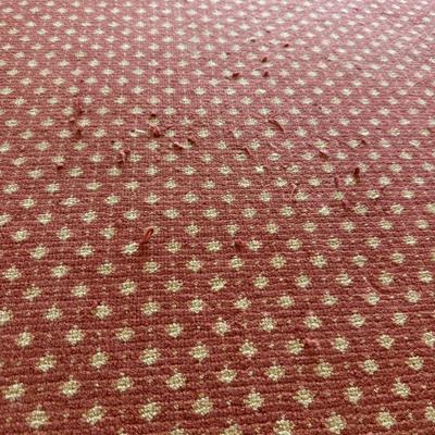 Large Checkered 14’ x 10’5” Rug (PBN-BM)