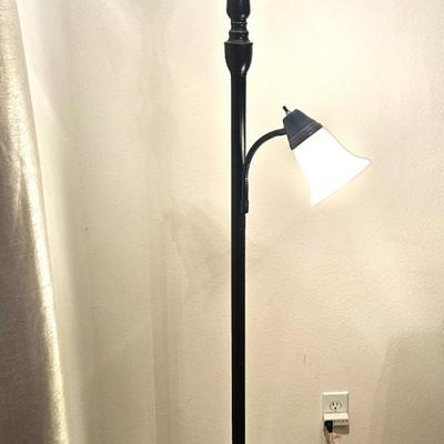 2 Light Black Floor Lamp