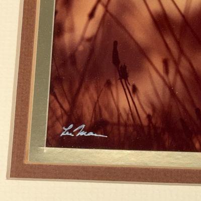 Lee Mann Photograph