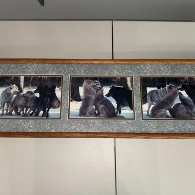 Group Hug Timber Wolf Tri-picture Wall Décor