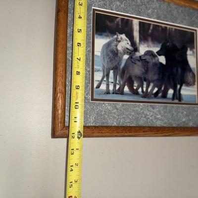Group Hug Timber Wolf Tri-picture Wall Décor