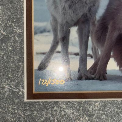 Group Hug Timber Wolf Tri-picture Wall Décor