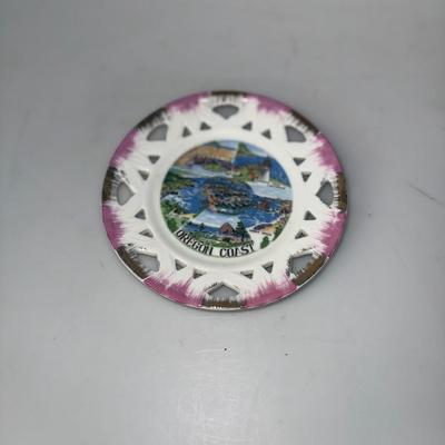 Vintage Oregon Coast Souvenir State Plate