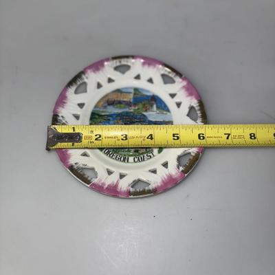Vintage Oregon Coast Souvenir State Plate