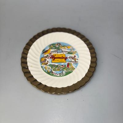 Vintage Wyoming Sourvenir Plate